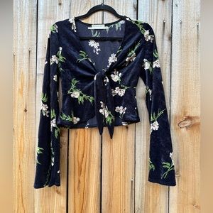 Urban Outfitters Velvet Crop Blouse